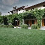 House Wisteria *