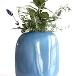 Apartment House Wisteria Kostanjevica na Krasu