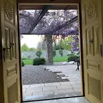 House Wisteria Kostanjevica na Krasu