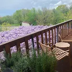 House Wisteria דירה Kostanjevica na Krasu