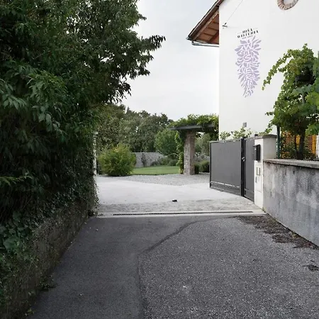 House Wisteria Apartman *