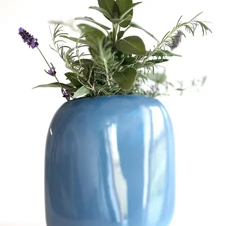 Appartement House Wisteria Kostanjevica na Krasu