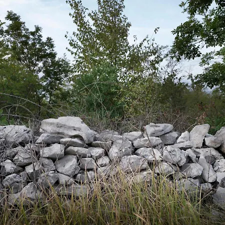 Apartman House Wisteria