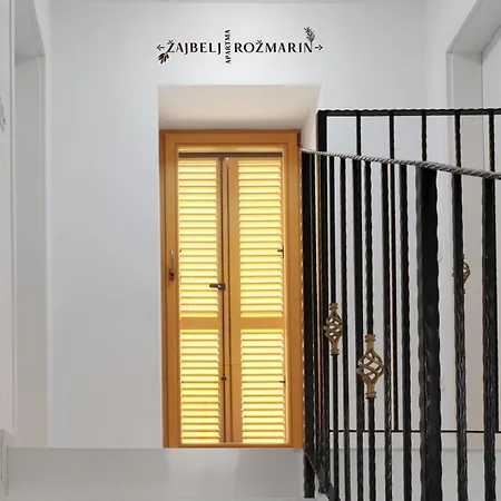 House Wisteria Daire