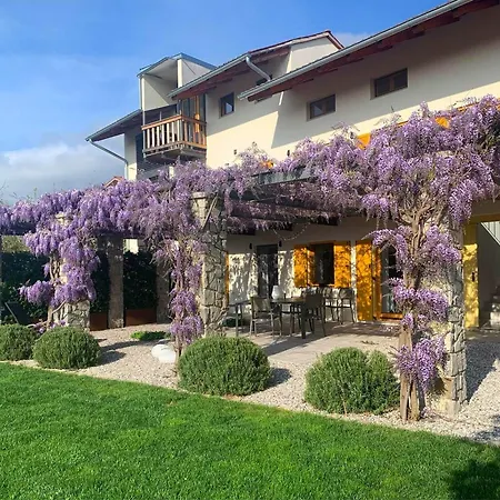 House Wisteria Daire