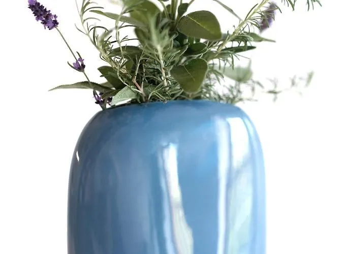 شقة House Wisteria Kostanjevica na Krasu