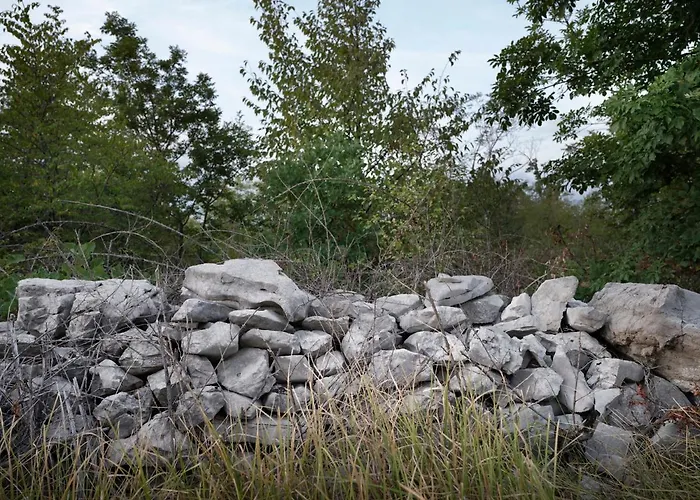 Apartma House Wisteria