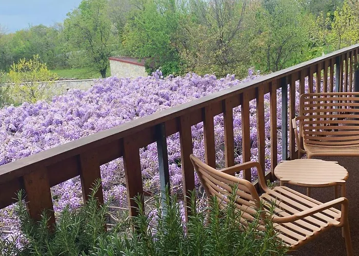 House Wisteria Daire Kostanjevica na Krasu