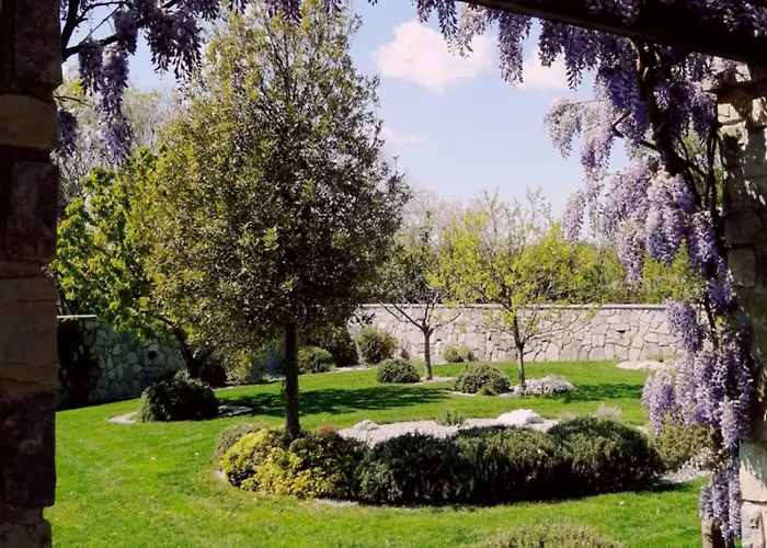 Daire House Wisteria *
